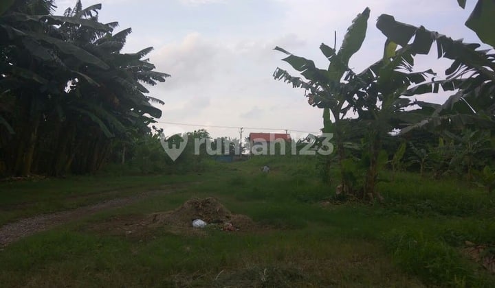 Tanah Izin Industri 8000m2 Kosambi Salembaran Tangerang