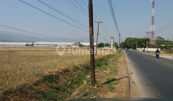 Tanah Rancaekek Tanah Rancaekek