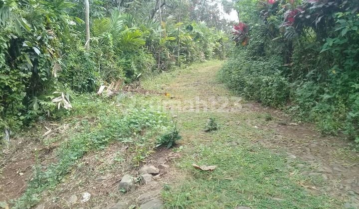 CHEAP Land Garden Jombang Wonosalam SOLD Street CHEAP Land Garden Jombang Wonosalam SOLD Street