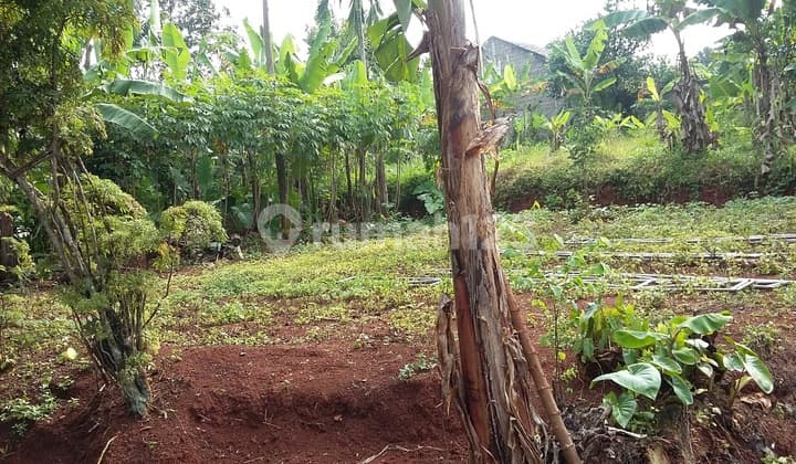 Cheap land in a strategic location in Sawangan, Depok.