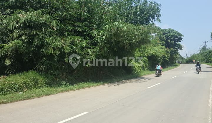 Tanah di Daerah Jasinga Bogor Lokasi Pinggir Jalan Raya.