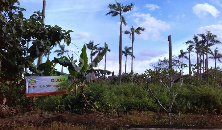 Tanah murah Boyolali, cocok untuk Investasi, Gudang, dll Tanah murah Boyolali, cocok untuk Investasi, Gudang, dll