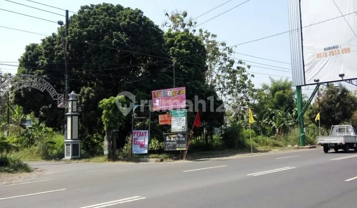 Strategic location, Dry, Low price Strategic location, Dry, Low price