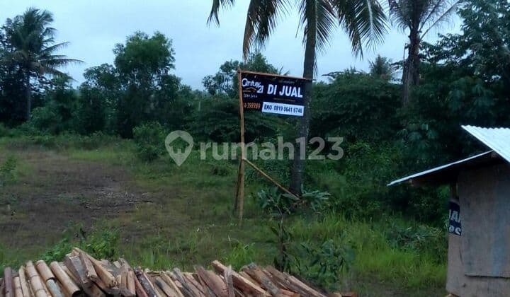 Tanah Lingkar Depan Semen Jakarta Sedang Promo