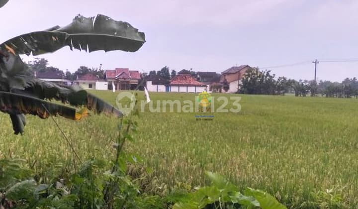 Tanah Murah lokasi pinggir jalan raya