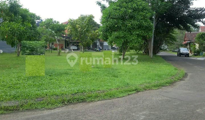 Kavlinig good vew : river Avani BSD