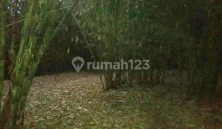 Land in Jampang Village, Gunung Sindur.