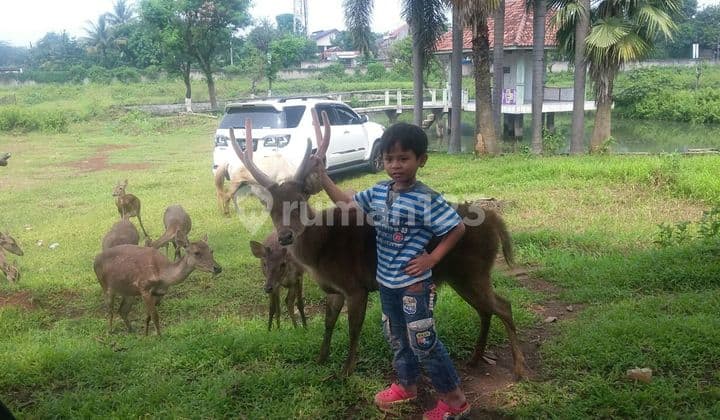 TANAH STRATEGIS AKSES TOL di TAPOS CIMANGGIS DEPOK JAWA BARAT