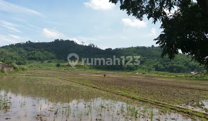 tanah sawah mainroad jln raya cipatik pataruman soreang