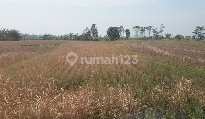 tanah mainroad jln raya cipatik soreang