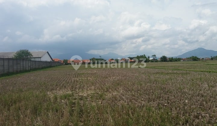 tanah di solokan jeruk