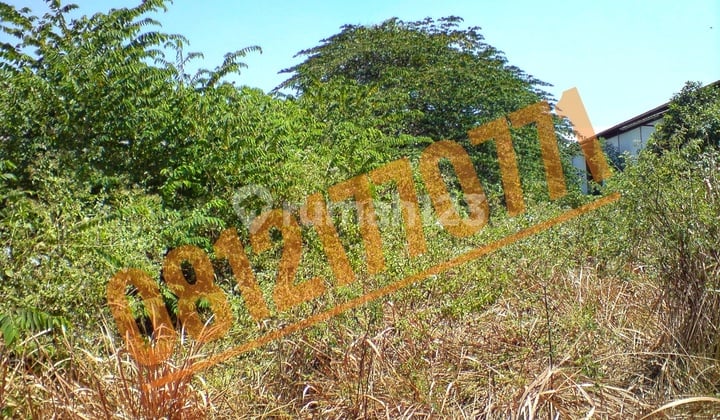 Tanah Plus Gudang, Manyar, Gresik