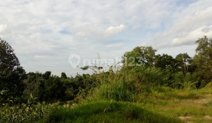 Commercial land 4826m2 suitable for hotel business, guesthouse, hospital, restaurant, or boarding house in Beller Balikpapan. Commercial land 4826m2 suitable for hotel business, guesthouse, hospital, restaurant, or boarding house in Beller Balikpapan.