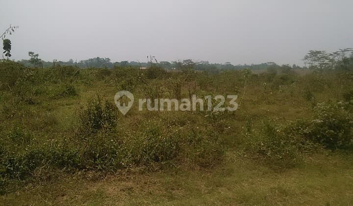 tanah padat siap bangun pabrik