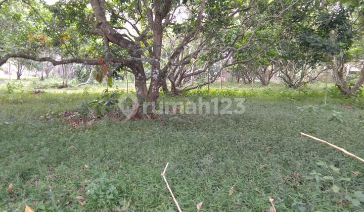 Land in Kutruk Tiga Raksa Area, Tangerang