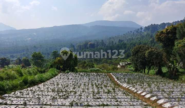 Lembang Gunung Putri