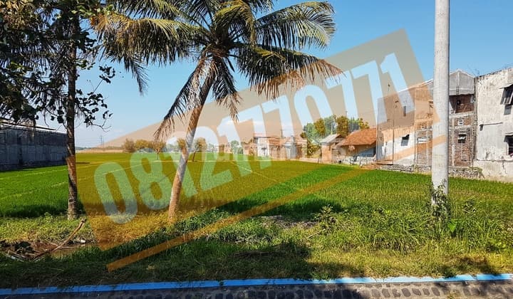 Tanah Industri Perak, Jombang. Nol Jalan