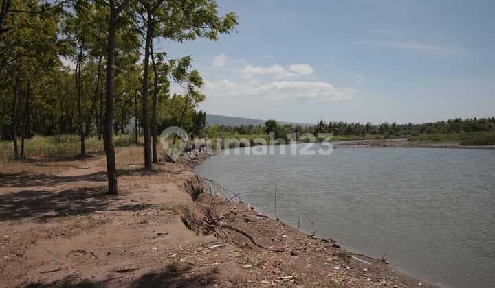 Tanah los pantai pringgabaya lombok timur