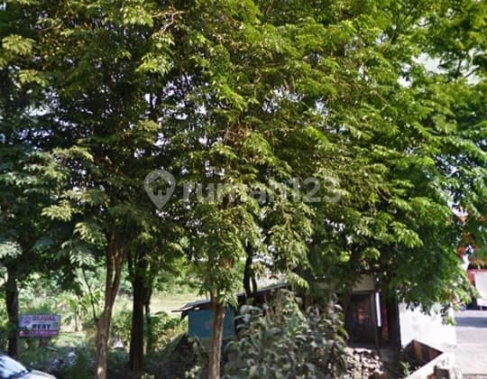 Tanah Untuk Bangunan Komersial Dekat Bandara Di Raya Juanda Sidoarjo