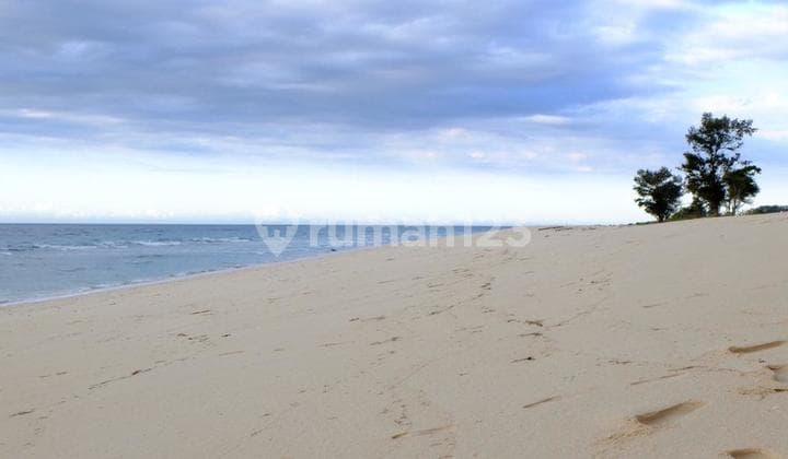 Tanah 40 are los pantai di Sumba Barat Daya dkt Mario Hotel & Cafe