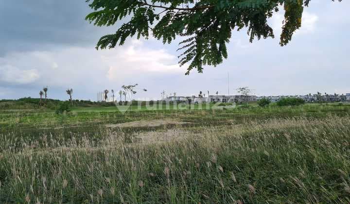 Jual Rugi Di Bawah Sp .. Kavling Villa Pasir Putih Pik 2 , Cluster Terbaik , 20.5 Juta Saja Per Meter