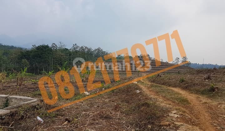 Former Cattle Farm Land, Wonosalam, Jombang