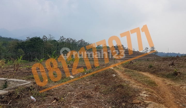 Tanah Bekas Peternakan Sapi, Wonosalam, Jombang