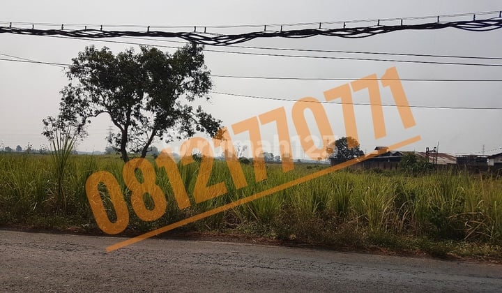 Tanah Industri Mojoagung, Jombang