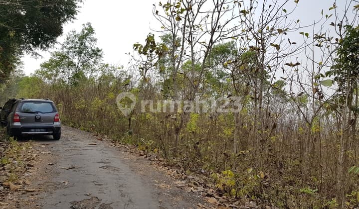 RESIDENTIAL LAND IN GUWOSARI WITH HILLSIDE AND SOUTH COAST VIEWS, IDEAL FOR INVESTMENT