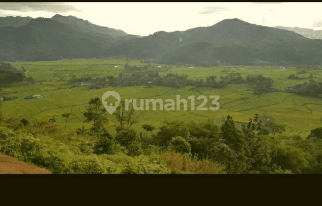 5 hectares and 26 hectares of land.