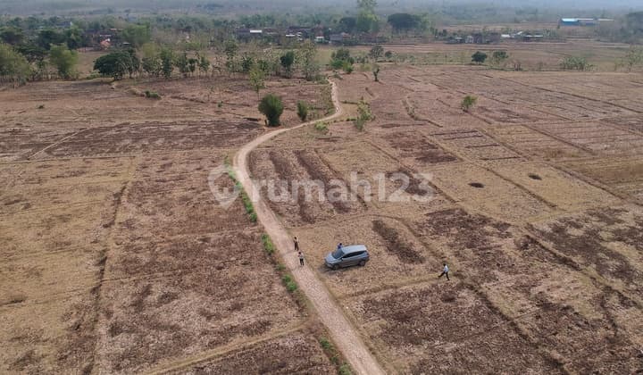 Tanah Industri Kembangbahu, Tikung, Mantup, Lamongan
