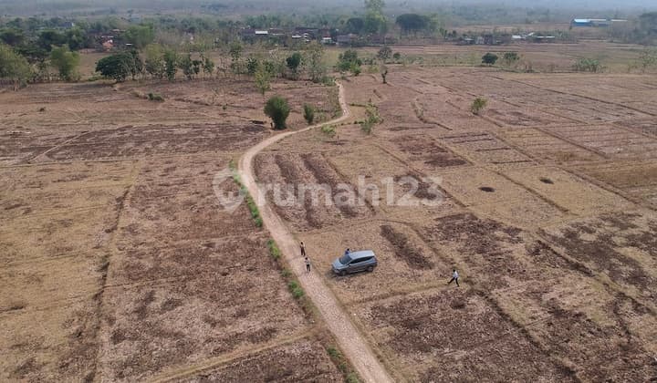 Tanah Industri Kembangbahu, Tikung, Mantup, Lamongan