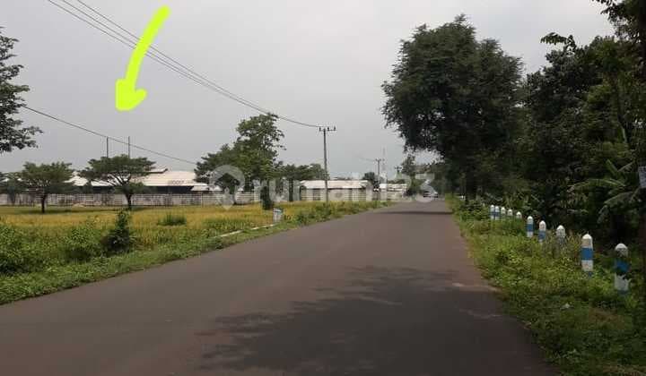 Tanah Luas di Raya Sukorejo Pasuruan