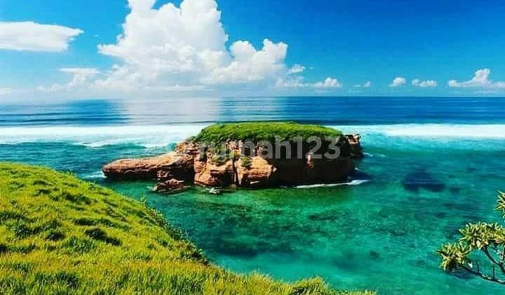 Lahan Murah Los Pantai Pasir Putih