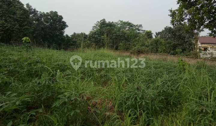 DIJUAL CEPAT TANAH KAVLING HARGA MURAH 1,5 JUTA PERMETER DI PARUNG HIJAU 2, TAJUR HALANG BOGOR,JAWA-BARAT.LOKASI STRATEGIS.