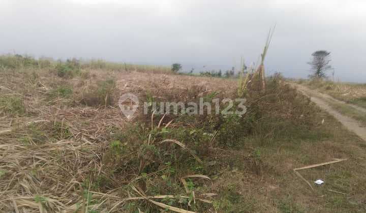 LANGKAAH Tanah MURAAH diJombang CIAMIIK Plor Perumahan