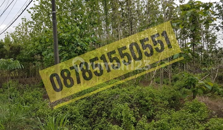 Tanah Industri Kembangbahu, Tikung, Mantup, Lamongan (Luas Kecil)