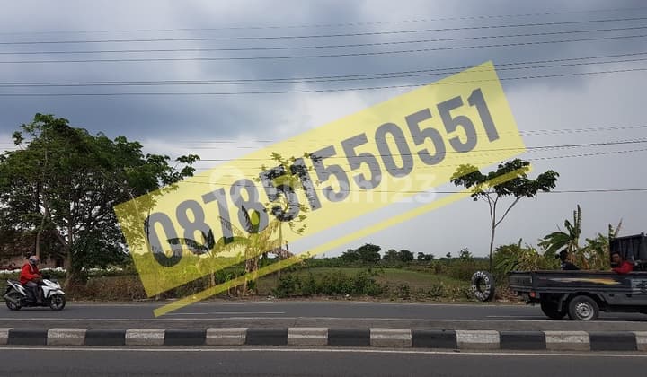 Industrial Land in Sukodadi, Lamongan (Adjacent to Provincial Road)