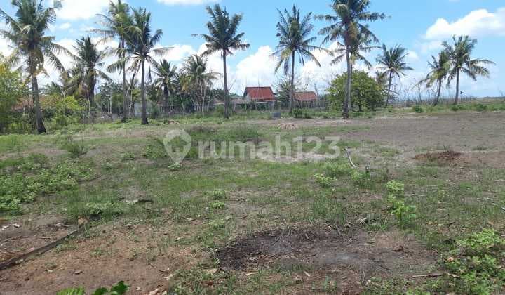 Tanah di Pulau Lombok