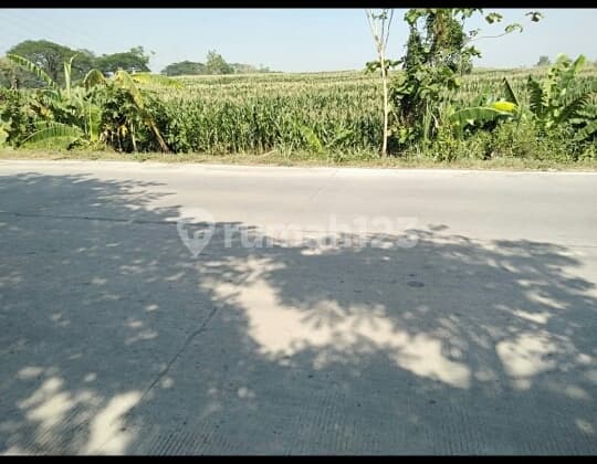 Tanah Nol Jalan Raya Mojokerto Daerah Jatirejo Cocok Untuk Gudang