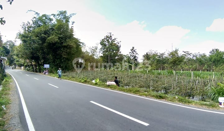 Tanah Istimewa di jl kaliurang