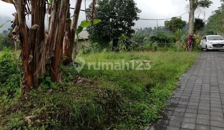 Tanah Dijual, Luas 4.650 M2, di Bedugul, Tabanan, Bali