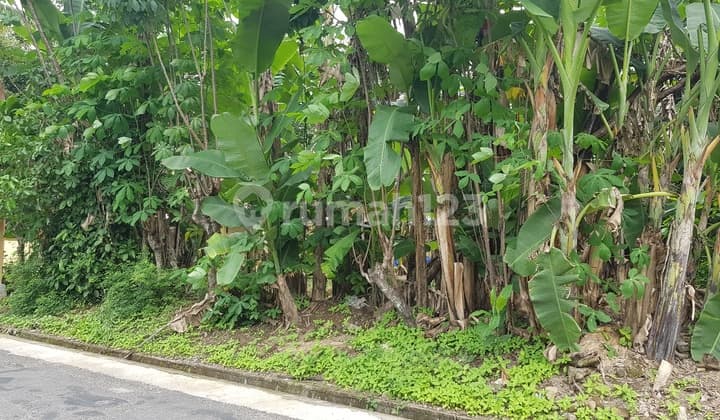 Tanah pekarangan bagus di Condong Catur cocok untuk hunian, homestay atau kost mahasiswa