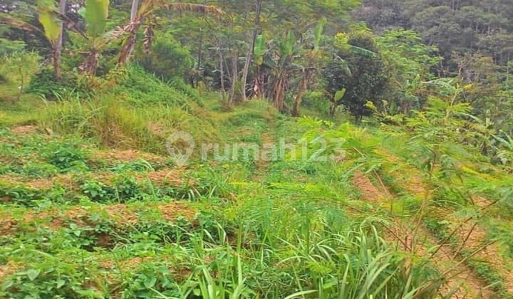 Purwakarta - Land suitable for VILLA, Bungalow, and Outbound activities, located near Situ Wanayasa Tourist Attraction/Lake.