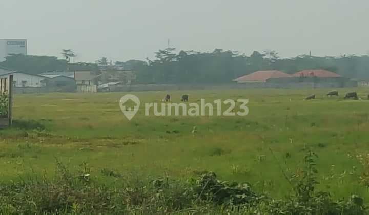Land in Cikande covering 22 hectares by the roadside.