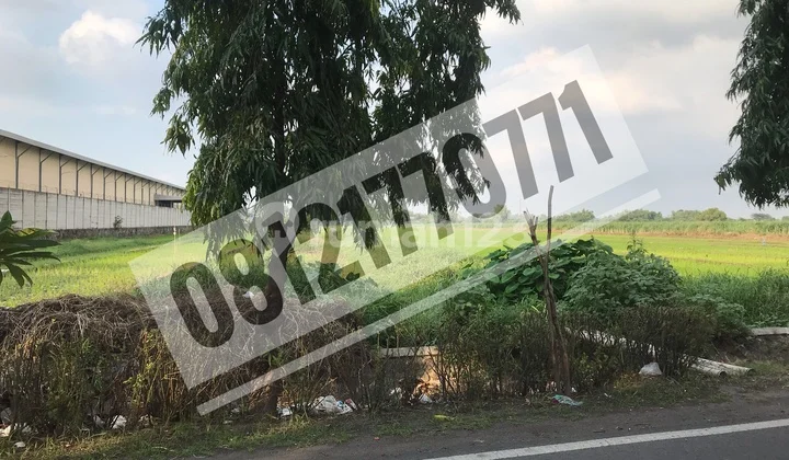 Tanah Industri Raya Pilang, Sidoarjo Tanah Industri Raya Pilang, Sidoarjo