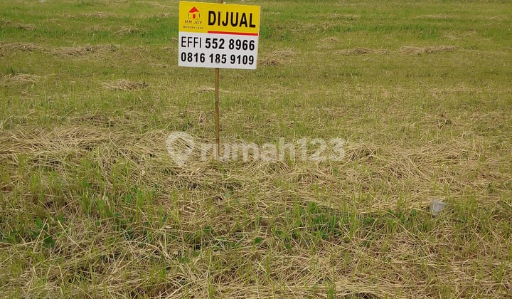 Kavling Cluster Neo Pasadena di Modernland