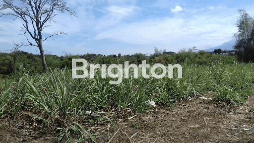 TANAH di BELAKANG RS BABTIS BATU