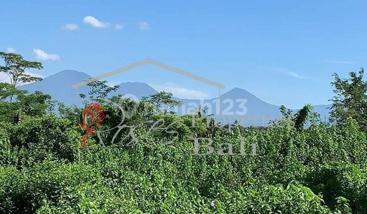 Covid19 Offer - Excellent River Side 2995m2 Land in Tegalallang Taro (Ubud)