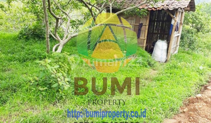 Tanah murah Luas 2600 meter lokasi di karanganyar